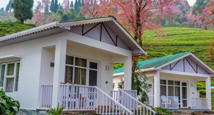 Eco Adventure Resorts The Temi Bungalow Room Type - Cottage