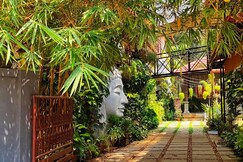 Treetop Beach Cottages Homestay | Peaceful stay near the beach