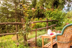 The Monk by Livingstone