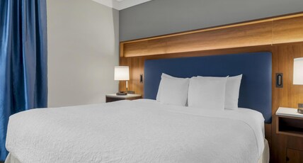 Best Western Plus Revelstoke Room Type - Suite-1 King Bed, Non-Smoking, Sofabed, Work Desk, Microwave And Refrigerator, Wi-Fi, Shower Only, F