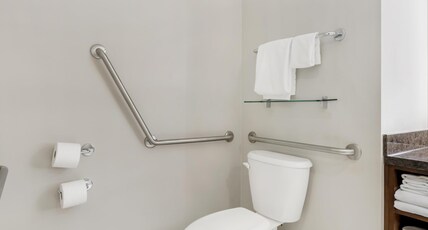 Best Western Plus Revelstoke Room Type - Accessible - Suite 1 King Bed, Mobility Accessible, Bathtub, Sofabed, Microwave And Refrigerator, Wi