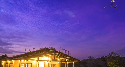 Pachmarhi Ecotel Resort by Vanyum Room Type - Aranya Cottage