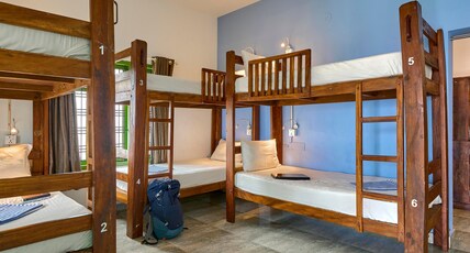Zostel Varkala Room Type - 1 Bunk Bed | Standard 6 Bed Female Dorm | Shared en-suite washroom