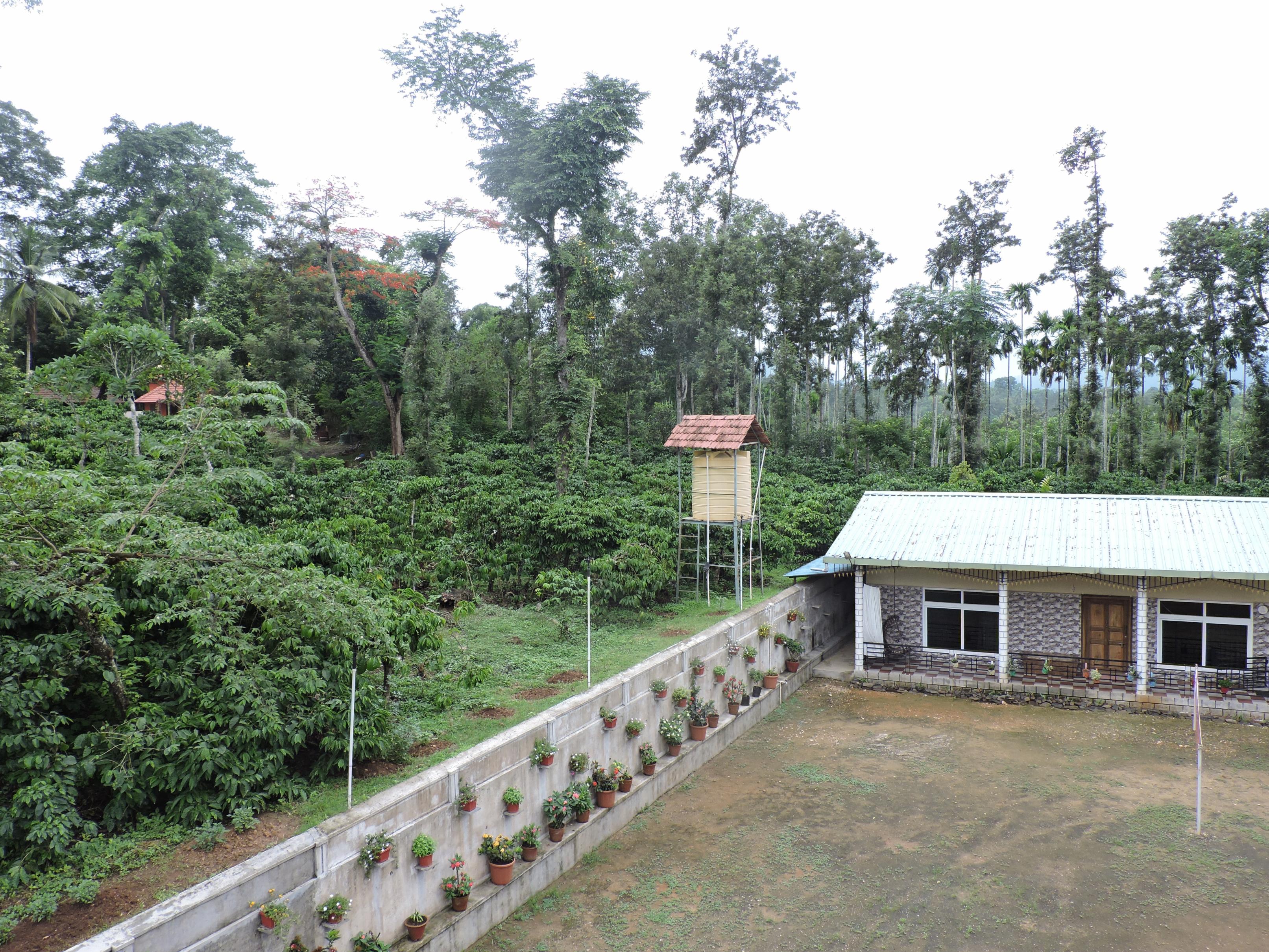 honeybee homestay - Tap to explore photos