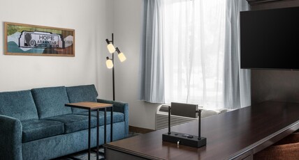 Hampton Inn & Suites by Hilton Hope Room Type - 1 KNG STUDIO SUITE NOSMOKE