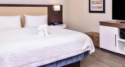 Hampton Inn by Hilton Benson Room Type - 1 KING MICROWV FRIDGE NS