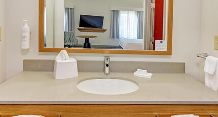 Hampton Inn by Hilton Foley, AL Room Type - 1KN STDO MIC FRIDG WTBR NS