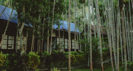 The Forest Elephant - Formerly known as The Flying Elephant Room Type - Plantation Cottage