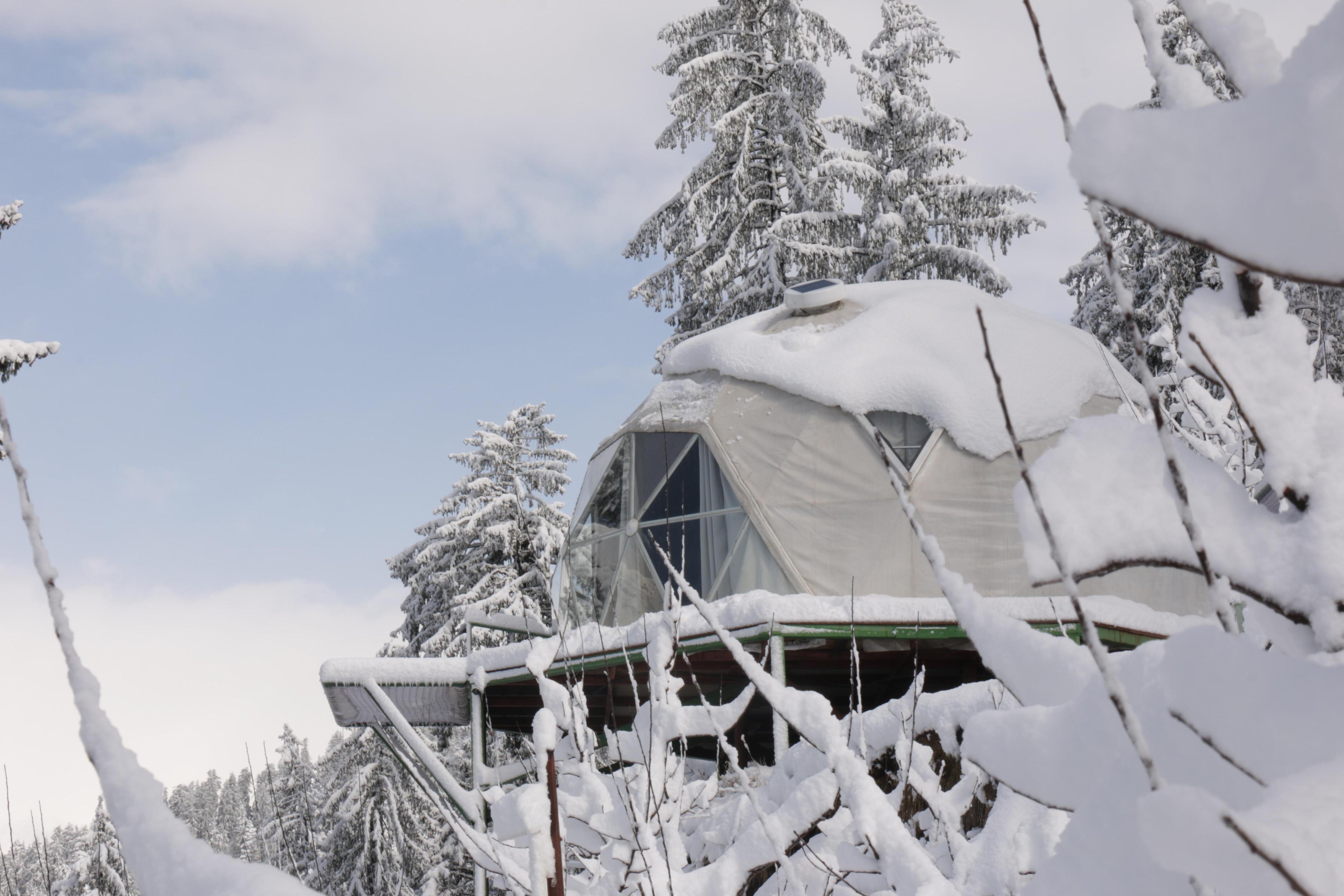 GlampEco Stays Room Type - Unique Geodesic Glamping Bubble Dome