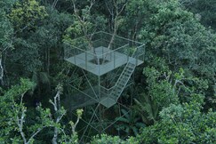 SpiceBuds FarmStay - Ramakkalmedu