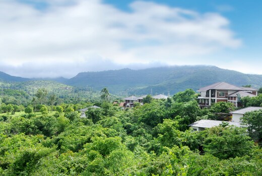 Forest Escapes Koyna