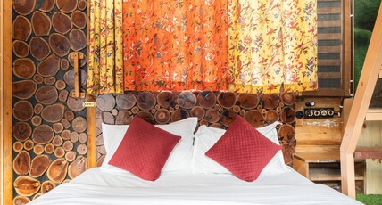 Tiger Fall Eco Resort Room Type - Tree House