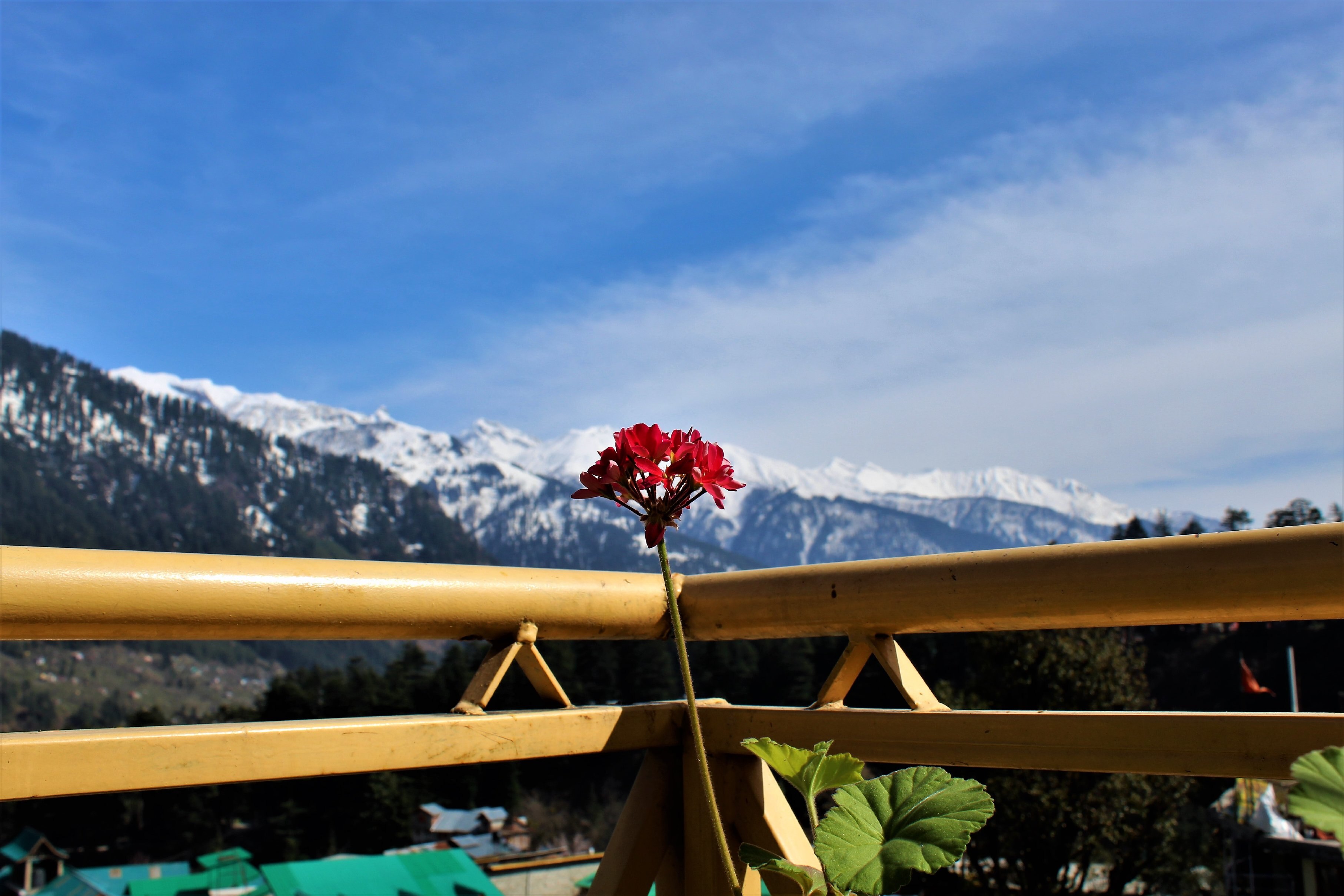 Anshika INN Manali - Tap to explore photos
