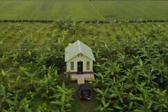 Blue Moon Farm Stay