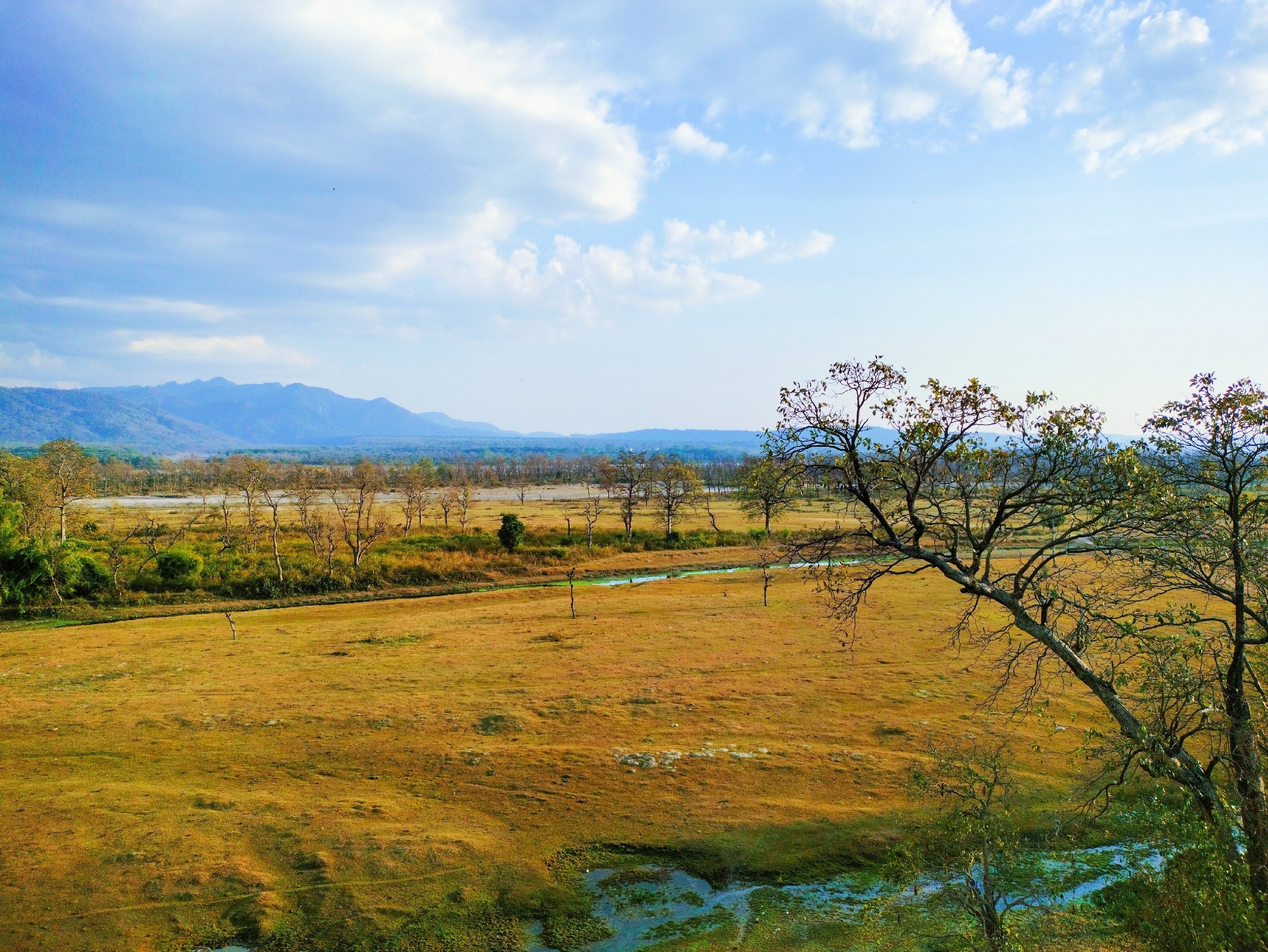 Hotel Yog Ganga Retreat - Tap to explore photos
