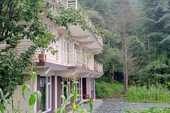 Junglaat Stays & Experiences