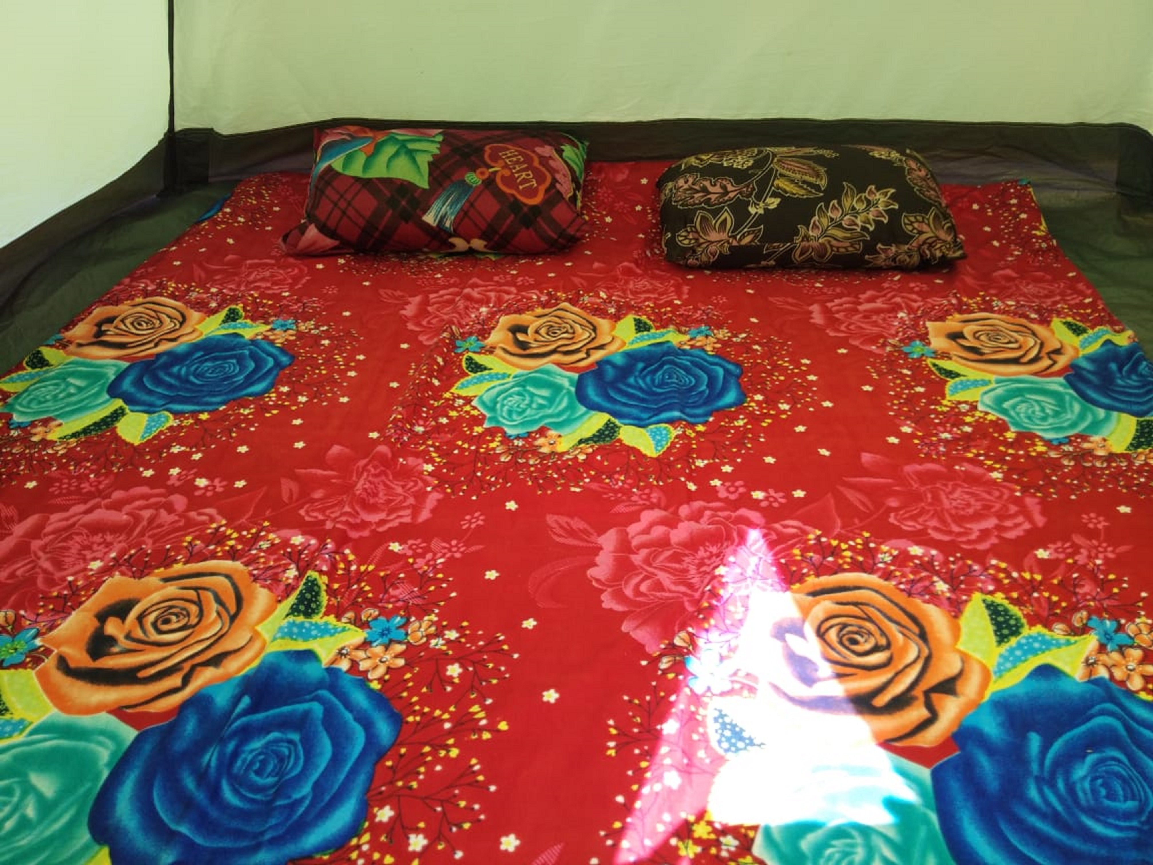 Pavana Dam Night Camping