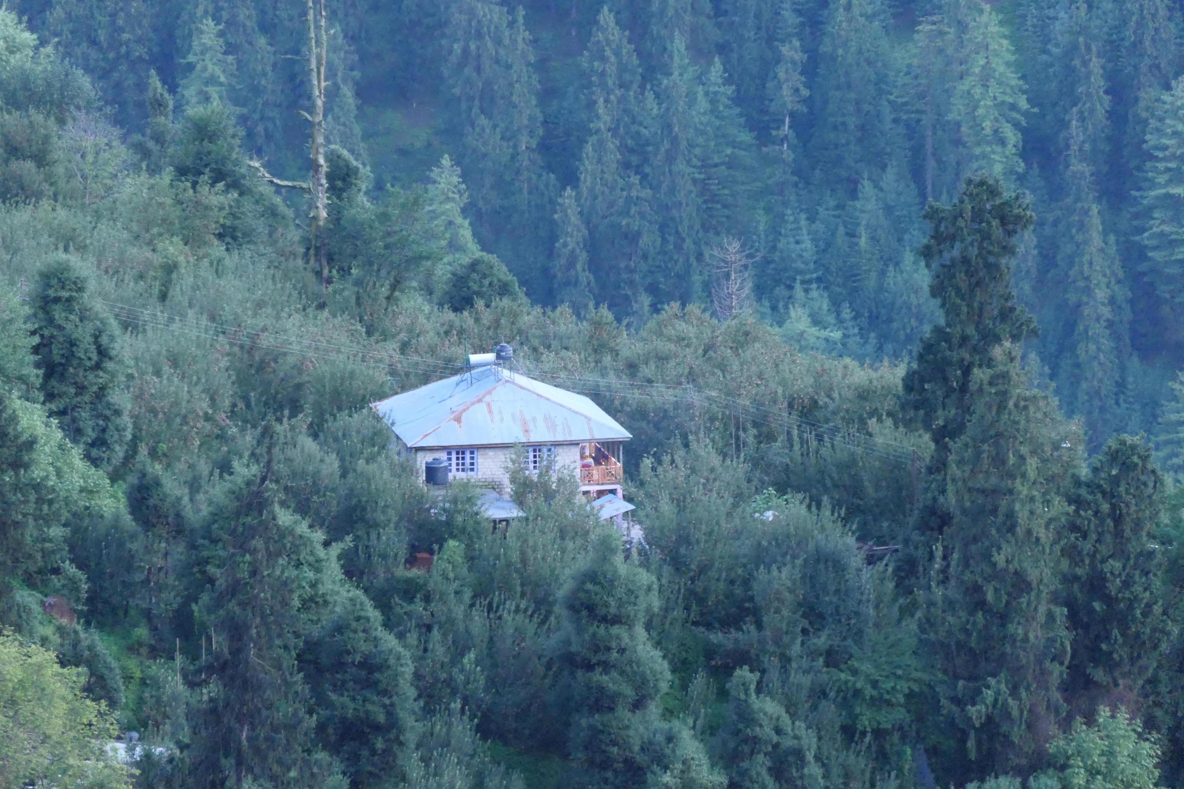 Lost in Woods Homestay