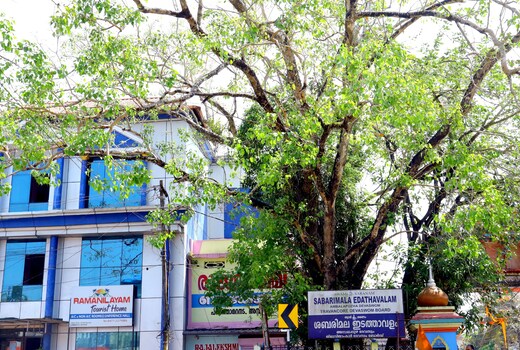 Ramanilayam Tourist Home