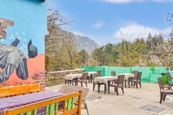 Jungle by sturmfrei Manali