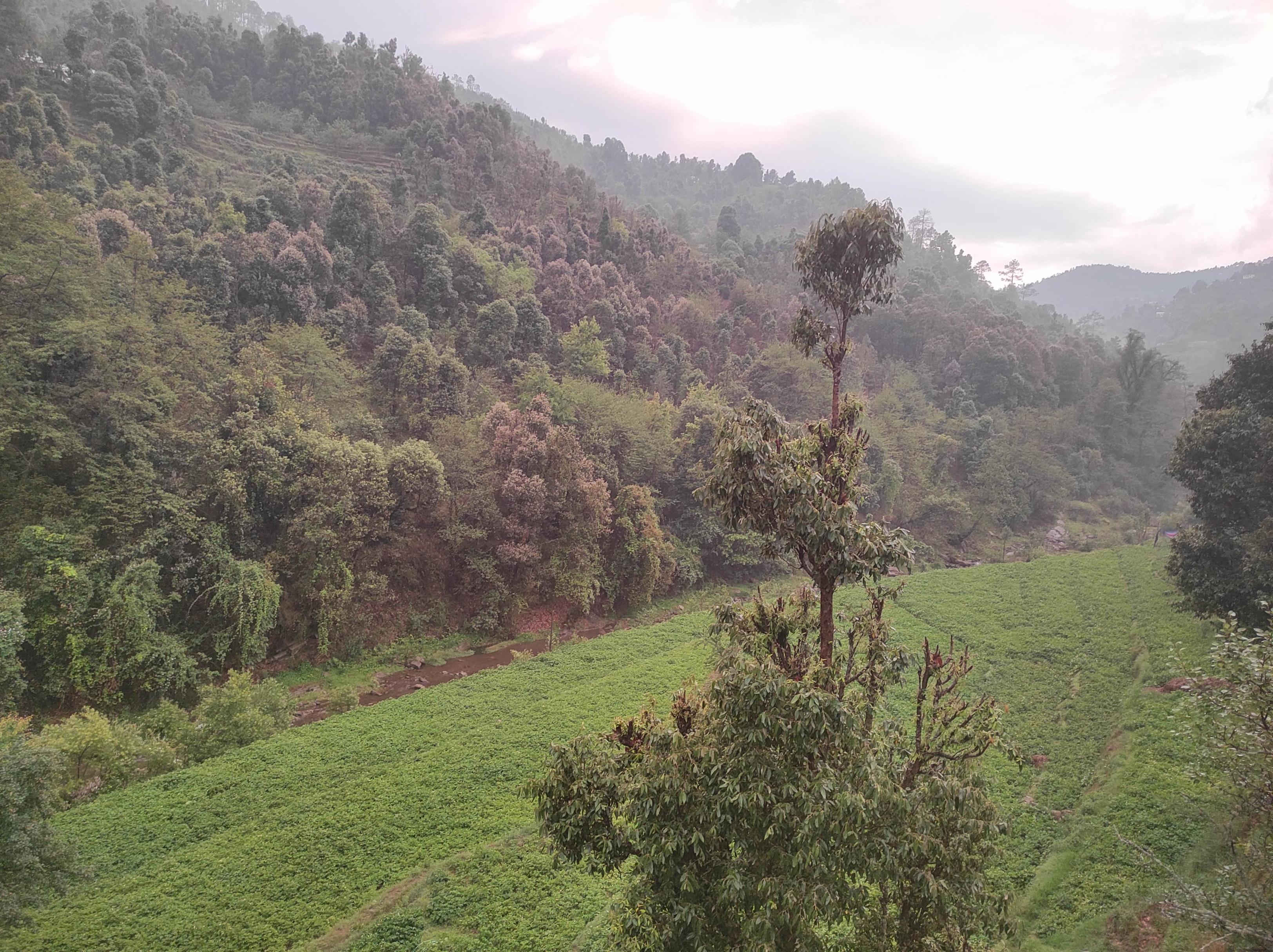 Happy Riverside Camps | Rooms & Guided Treks - Tap to explore photos