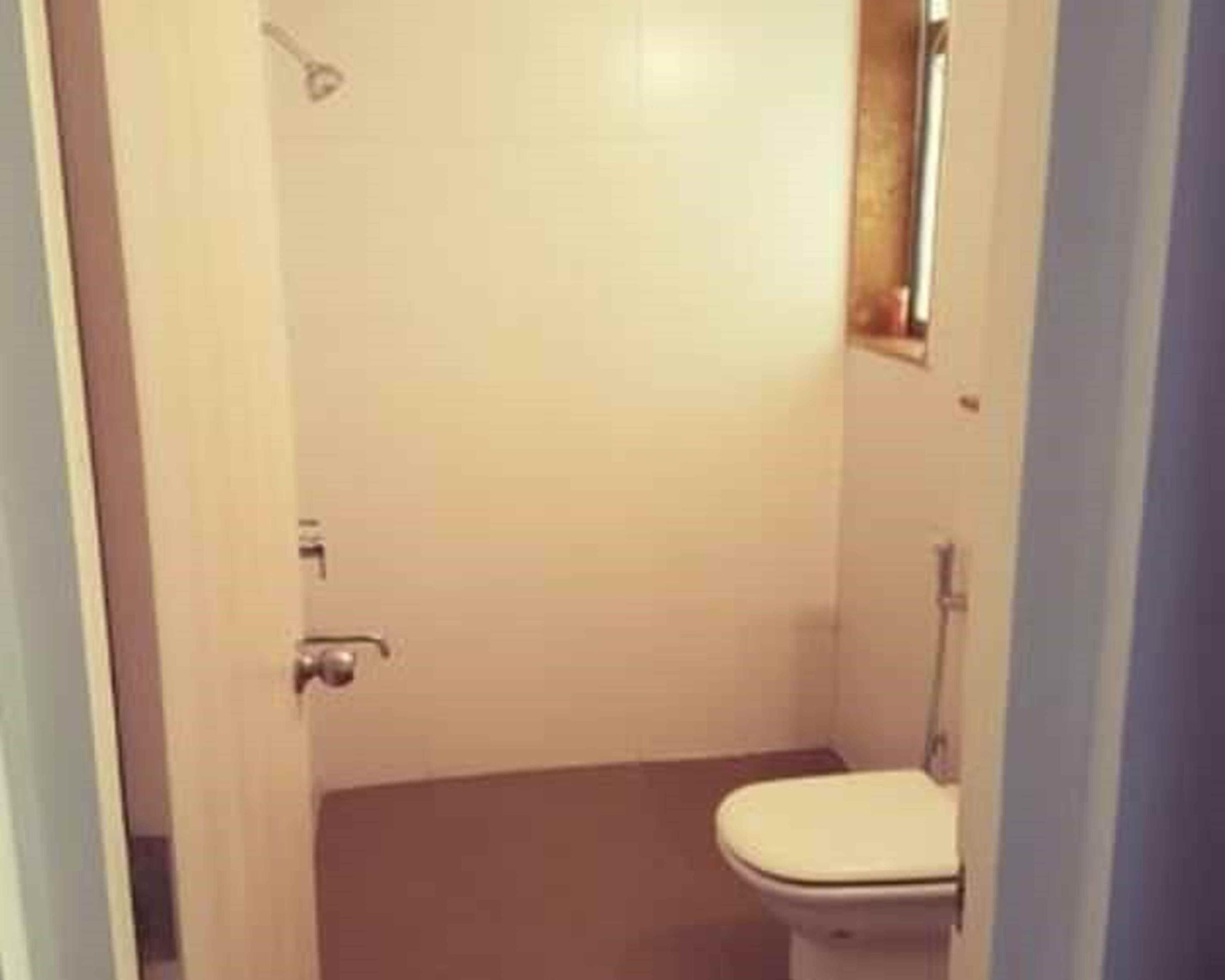 The Forbidden Forest - Tap to explore photos