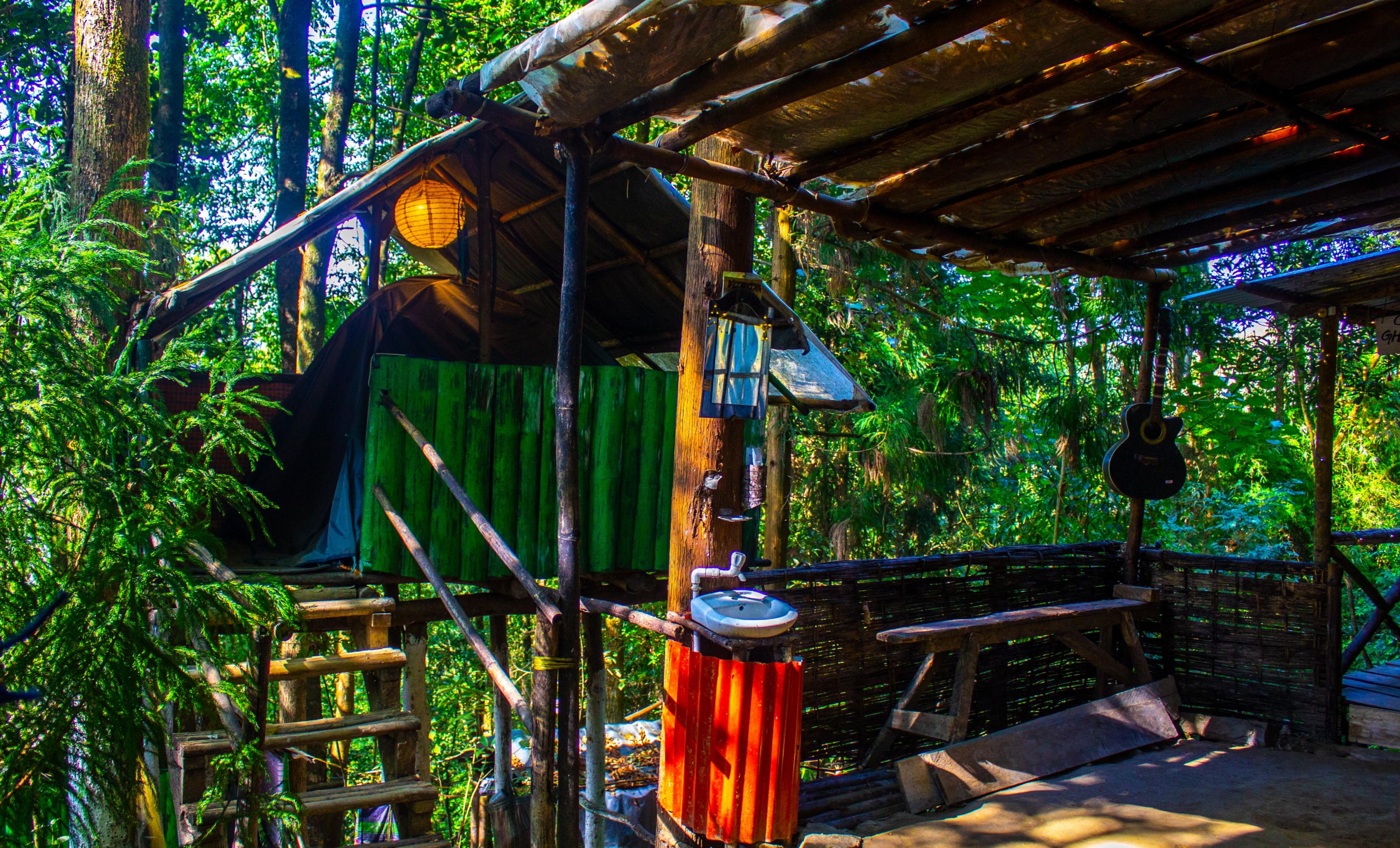 ECOPULSE - Tap to explore photos