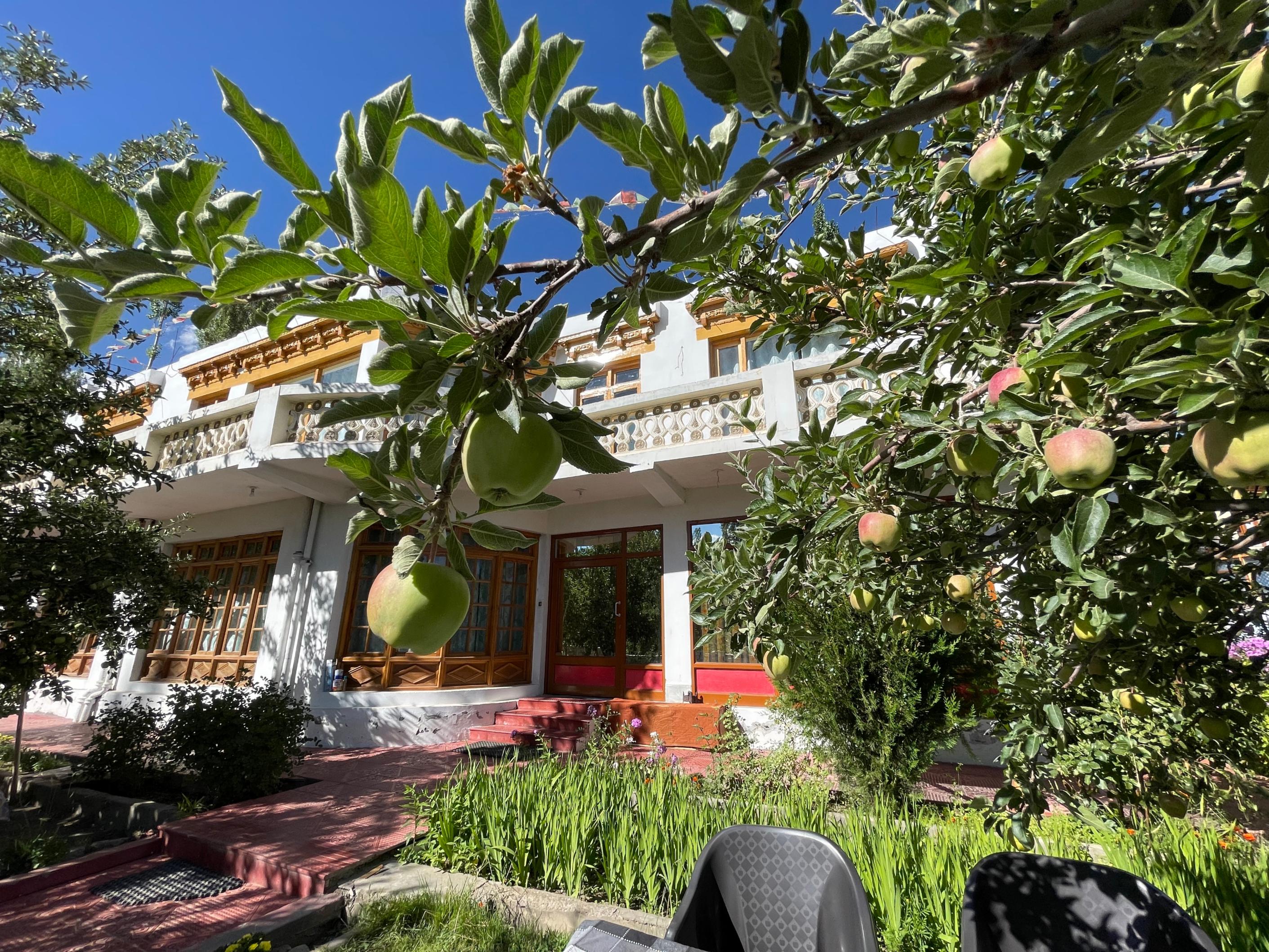 Hinjuma Guest House