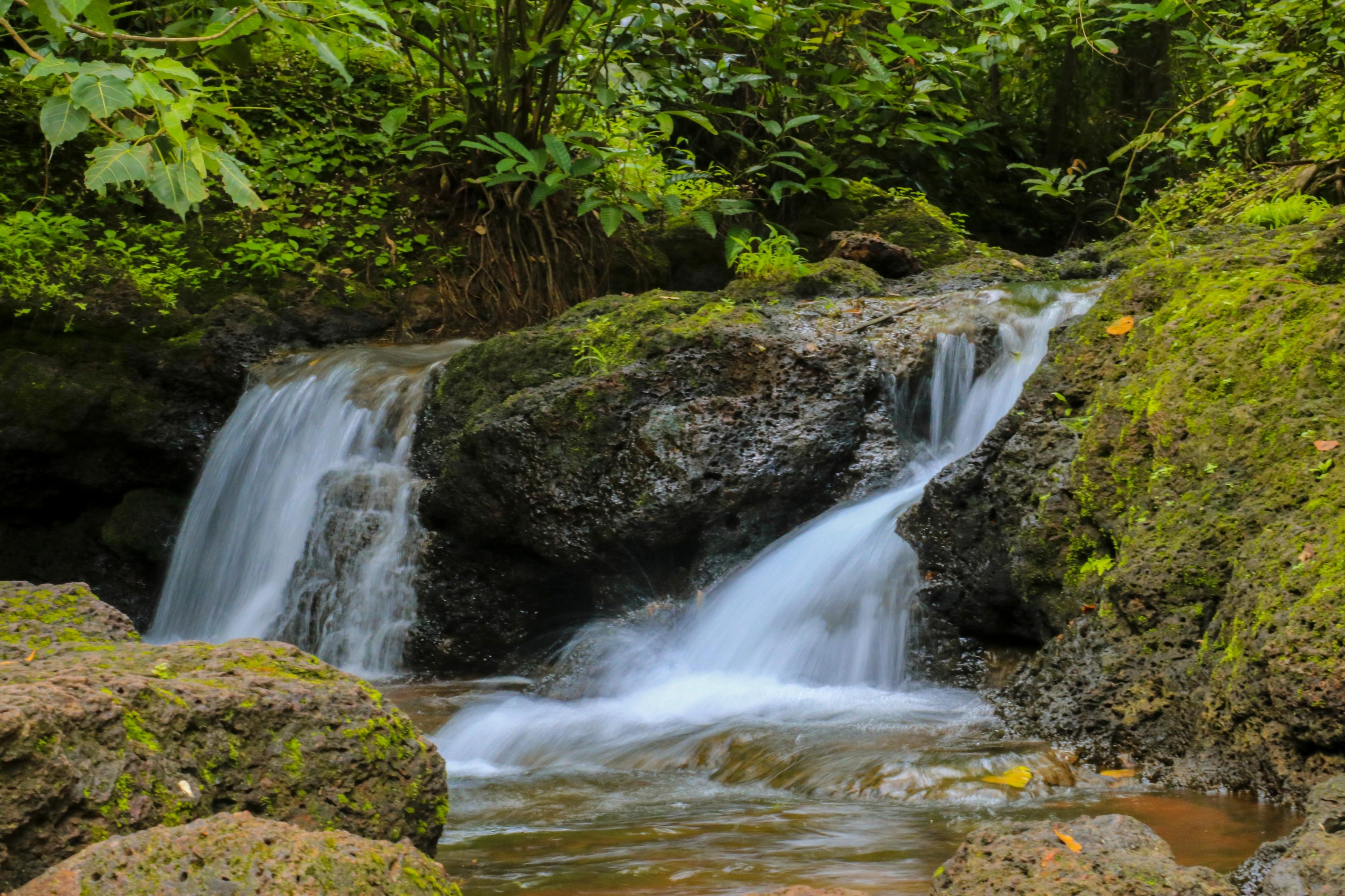 The Moonlit Stream - An Eco Stay