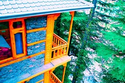 Cedar Stream House Jibhi | Rooms & Wi-Fi