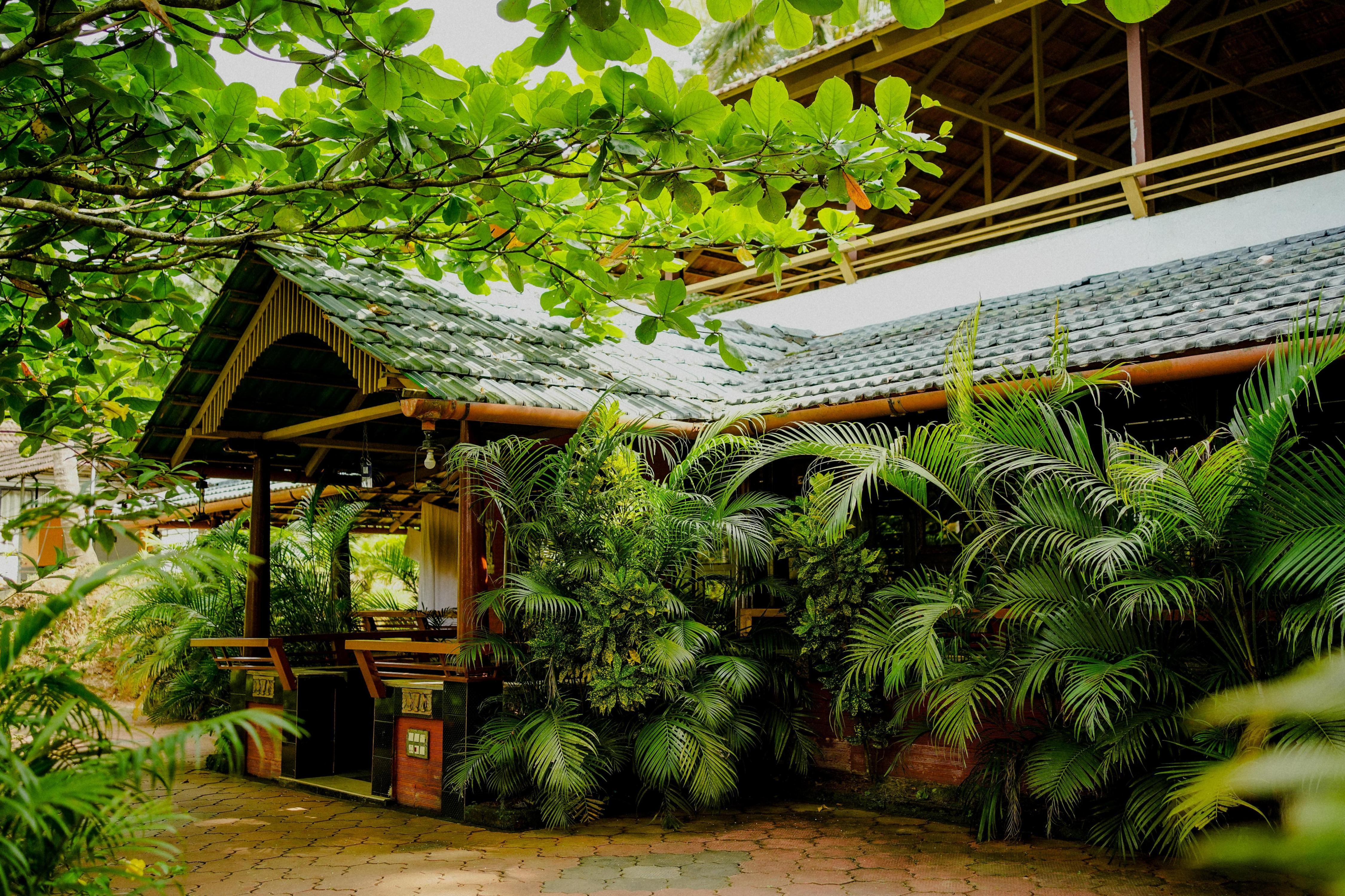 Misty Night Jungleside Resort Room Type - Three Bedroom Villa