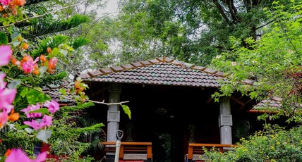 Misty Night Jungleside Resort Room Type - Jungle River Retreats