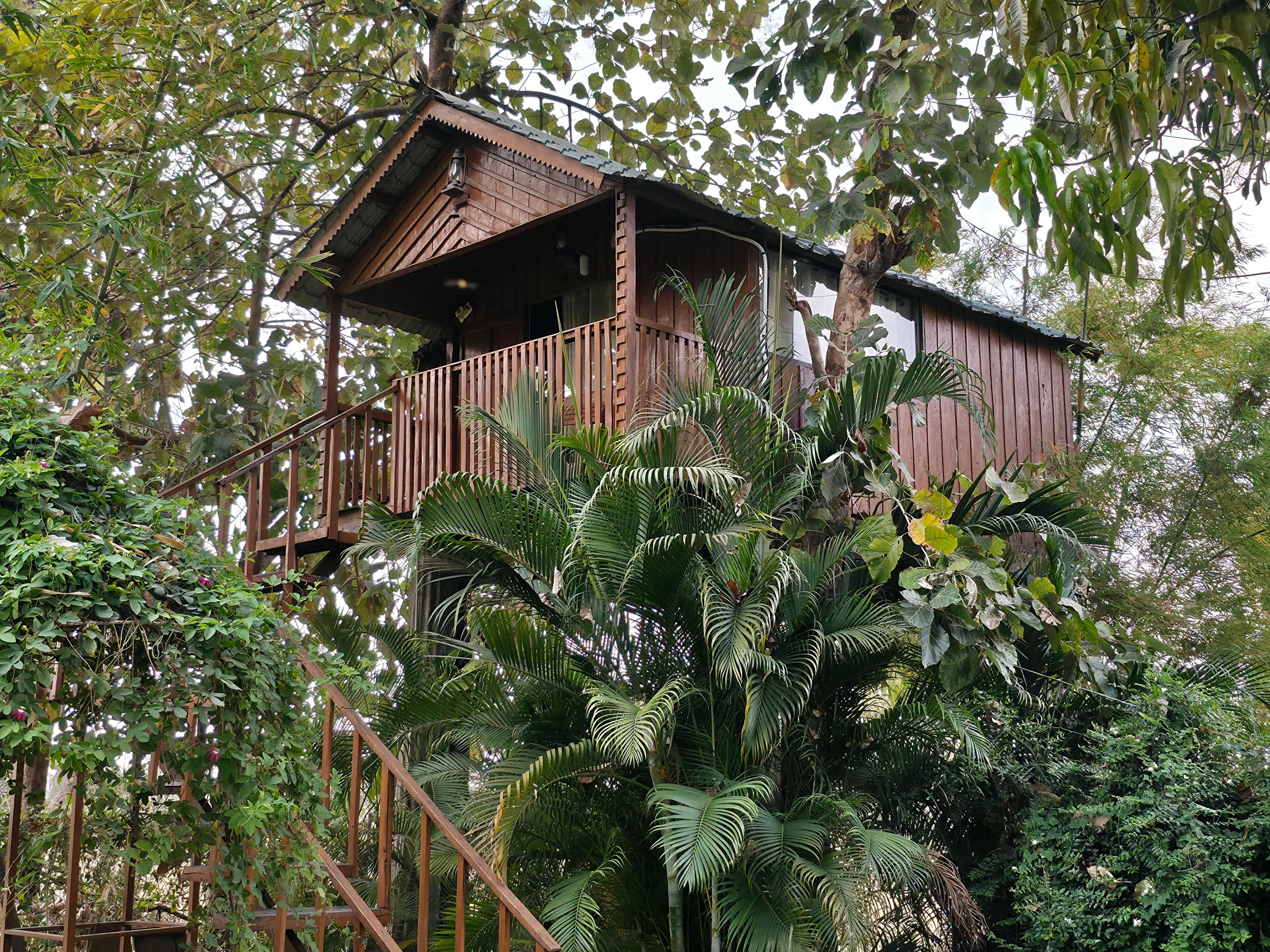 Lotuslap Resort Room Type - Tree House Cottage