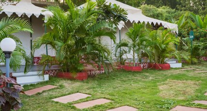 River View Tent Resort Room Type - RIVER VIEW TENT