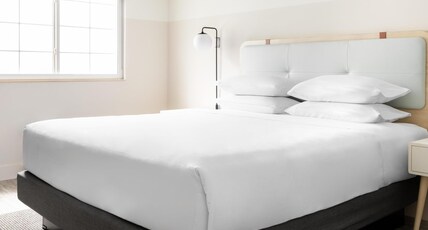 Hampton by Hilton Grand Cayman Room Type - KING ACCESSIBLE STUDIO