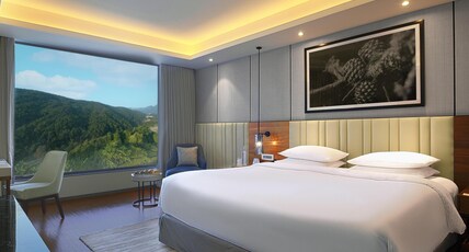 Hyatt Regency Dehradun Resort and Spa Room Type - DELUXE SUITE