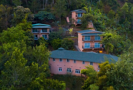 THE VIOLET THEKKADY