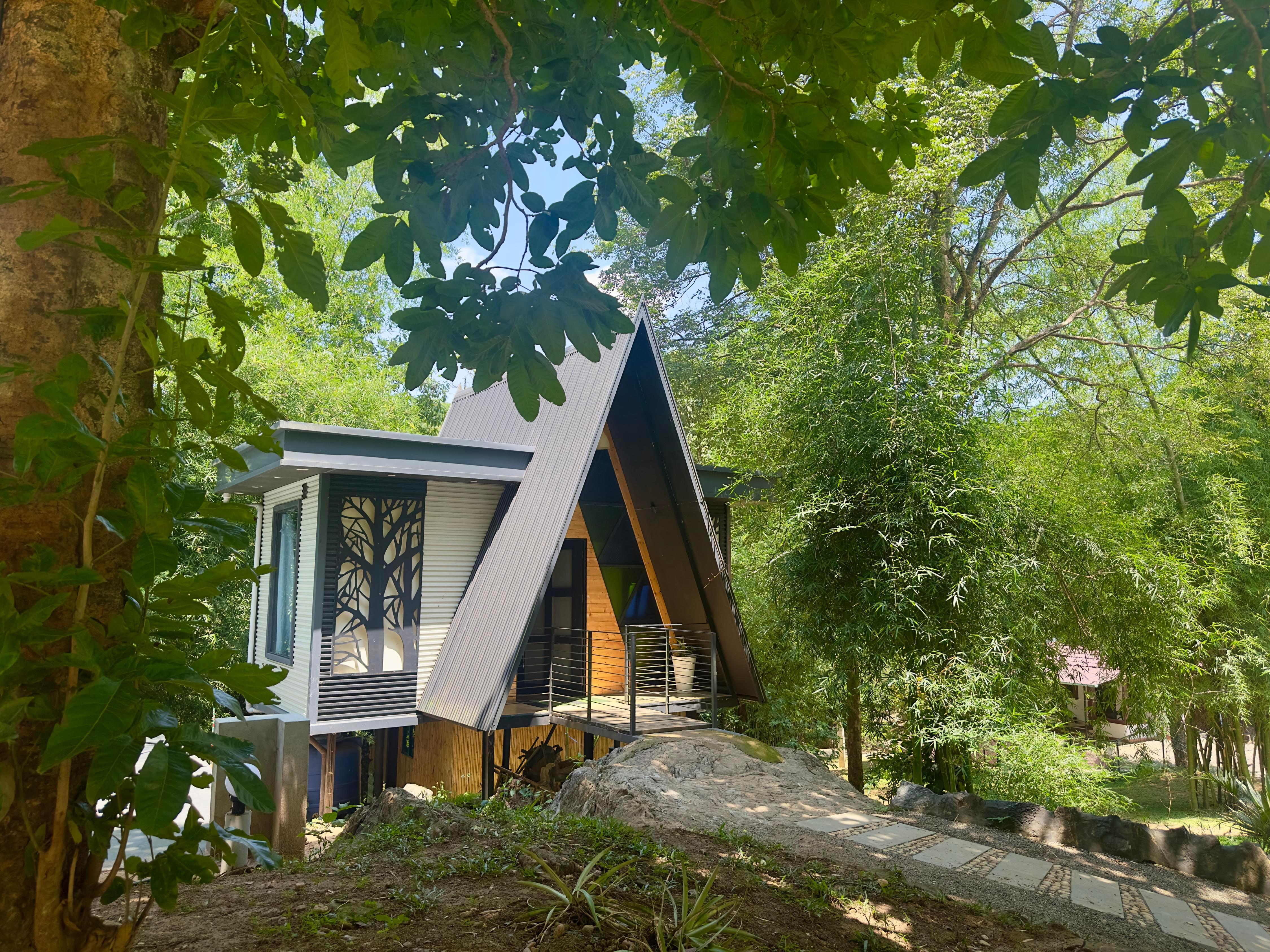 Jungle Zone Moodakolly