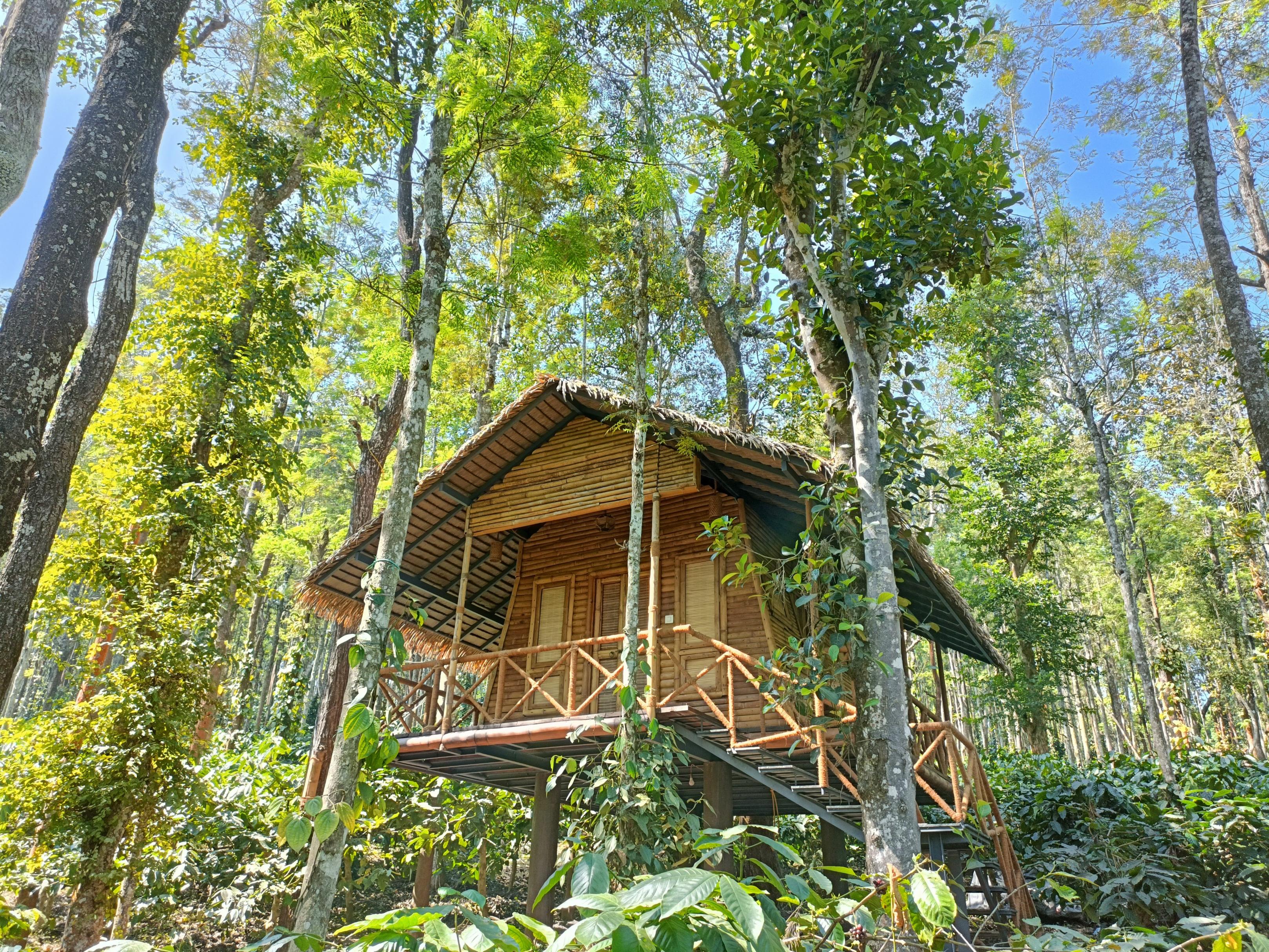 Adrak Mountain Mist Forest Resort - Tap to explore photos