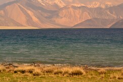 Pangong Eco Stay | Cottage 200m from Pangong Lake