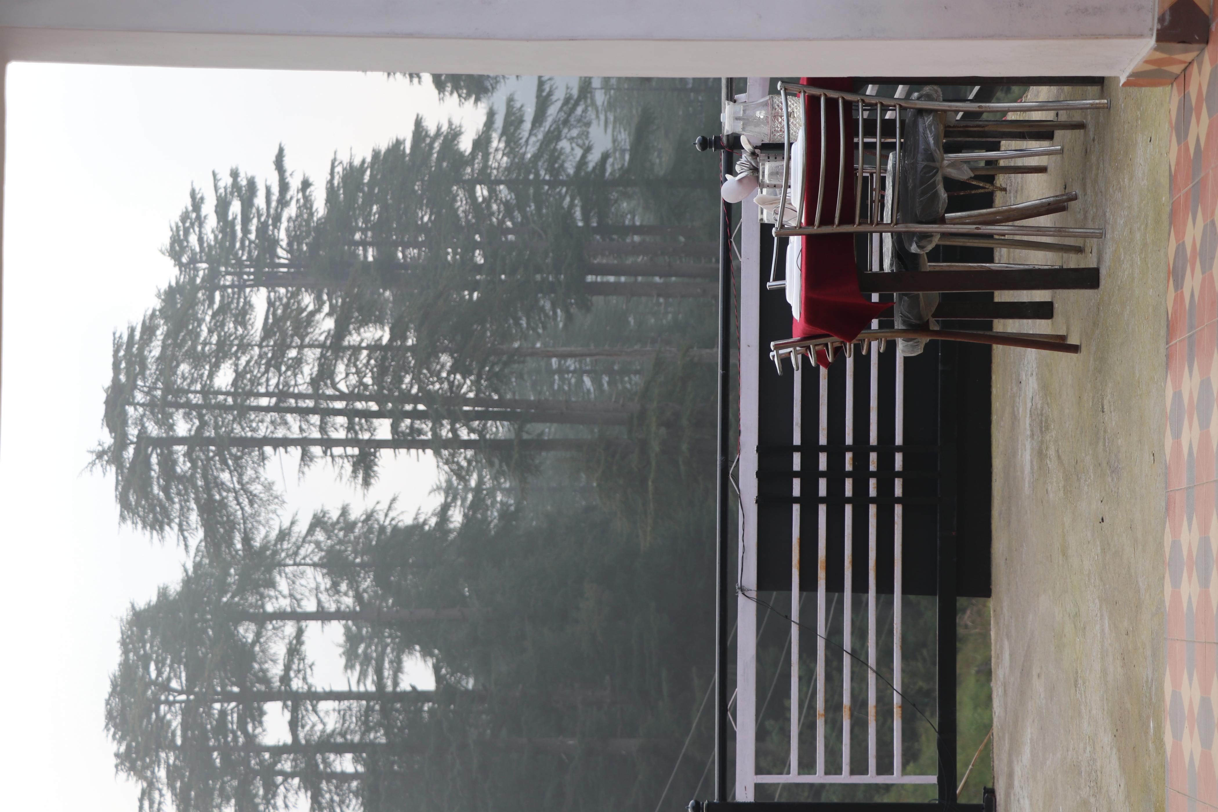 Snow View Homestay Khajjiar - Tap to explore photos