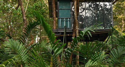 The Inaka Goa Room Type - Standard Treehouse