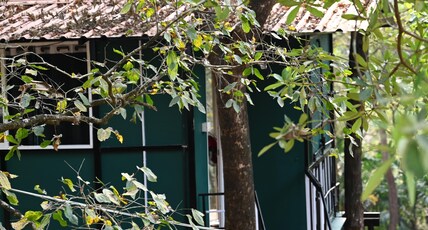 The Inaka Goa Room Type - Standard Treehouse