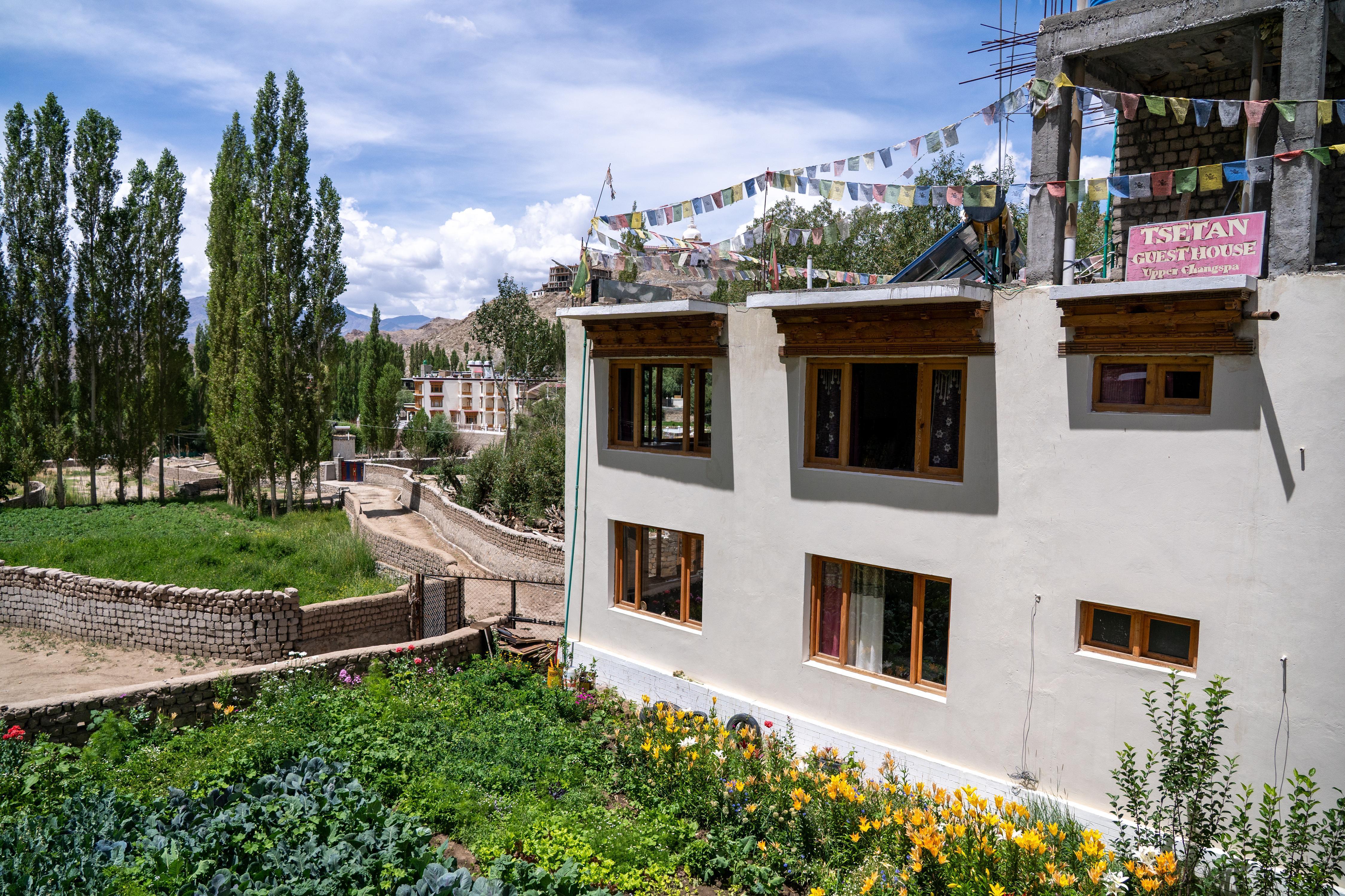 Tsetan Guest House