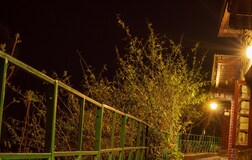 Outdoors