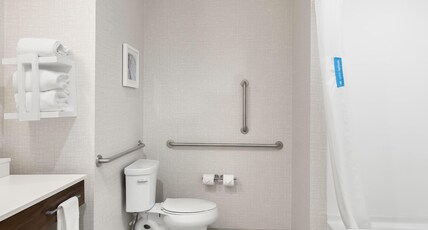 Hampton Inn by Hilton Huntley Chicago Room Type - 2QN ACCESSIBLE TUB