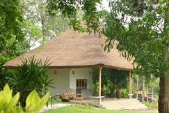 Fireflies Kabini
