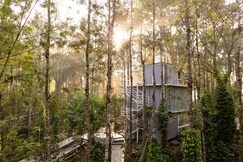 Sarvakaya Timber Trails Yercaud