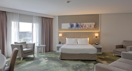 Millennium Lakeview Hotel Room Type - Junior Suite