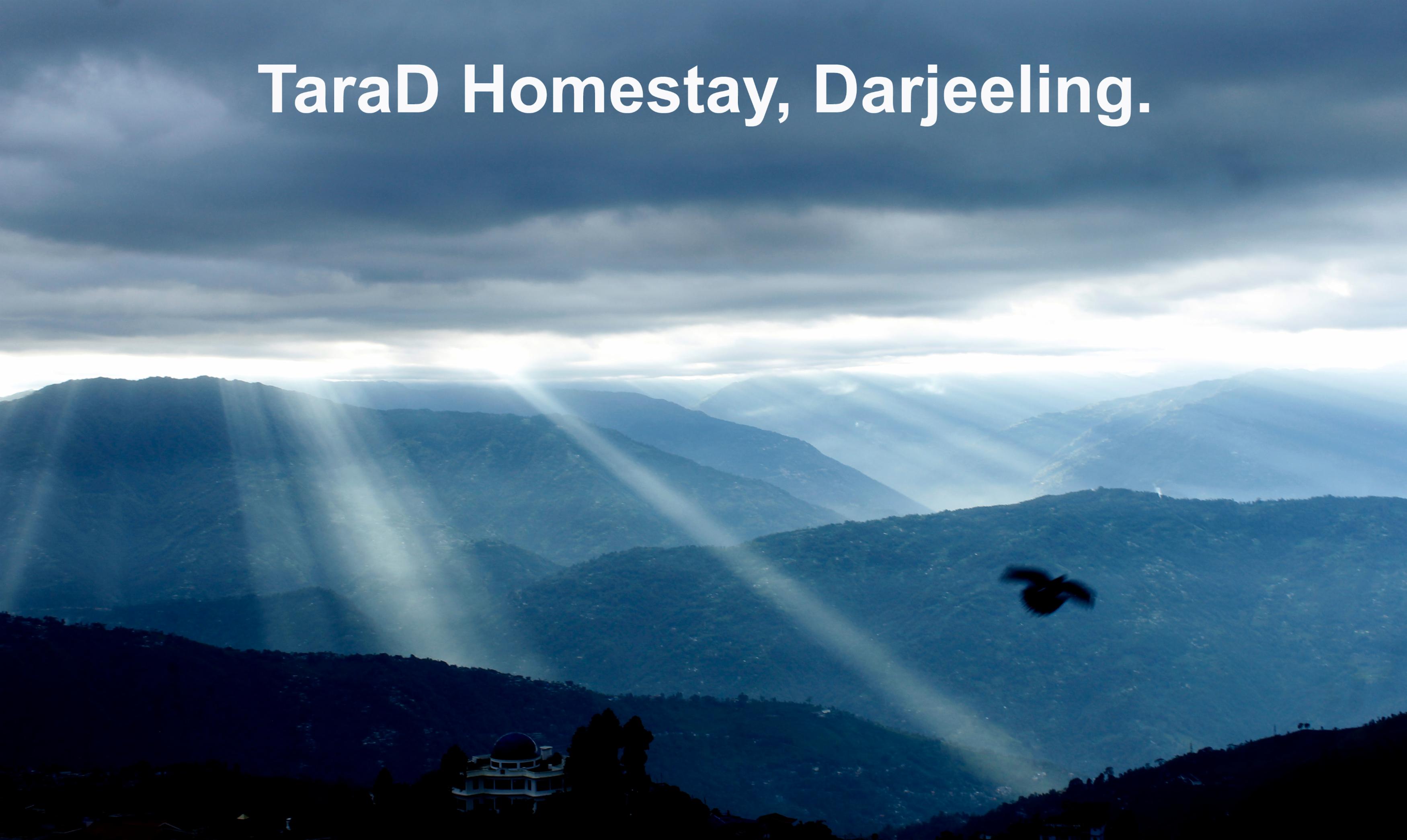 TaraD Homestay.